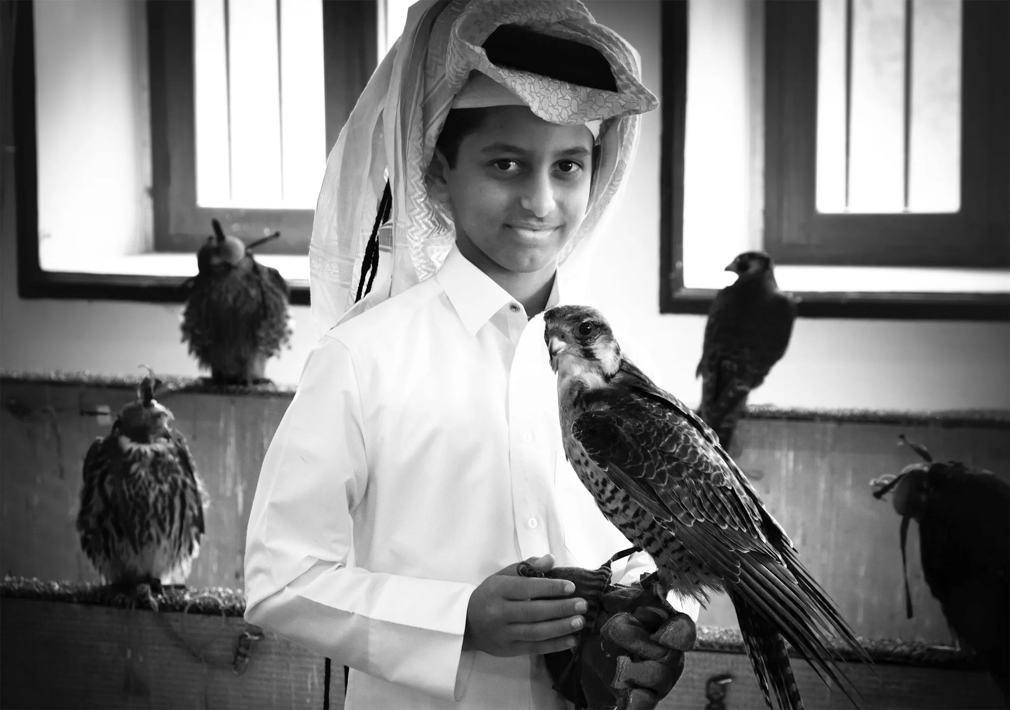 Boy trains his pelegrine falcon.