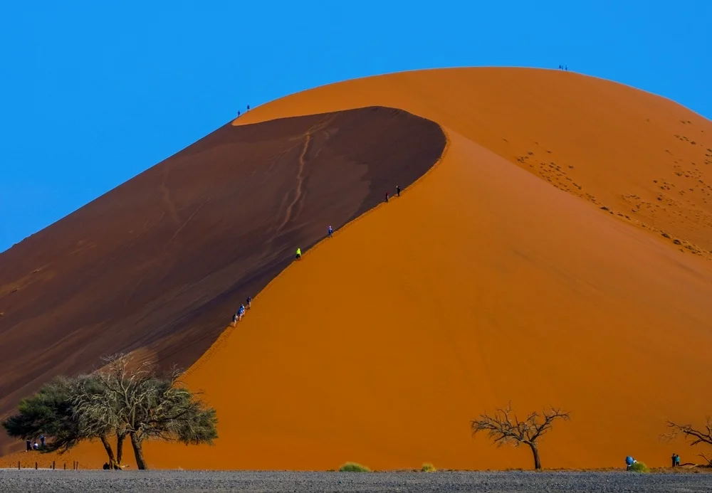 Dune 45