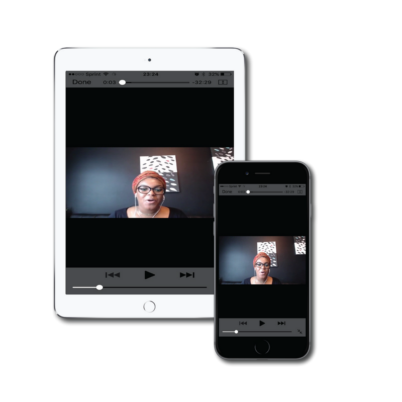 ppc video vault.png