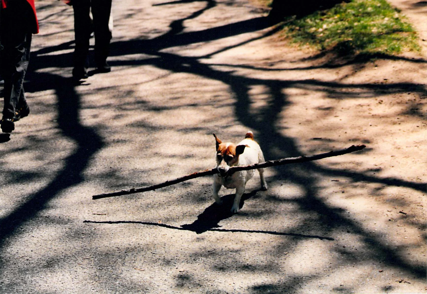 2012_08_30_10_33_32.jpg