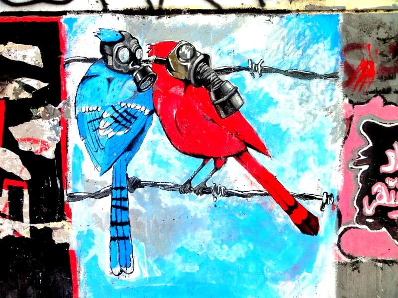 climatelensbirds.jpg