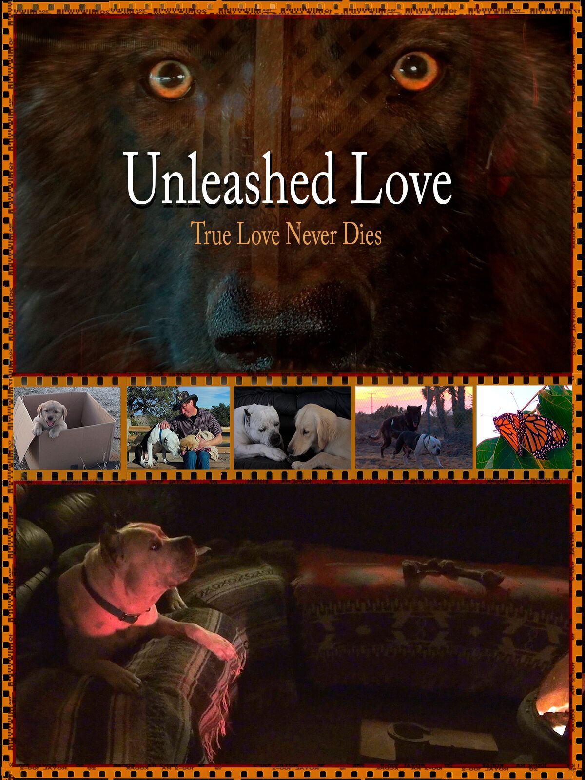 UNLEASHED LOVE