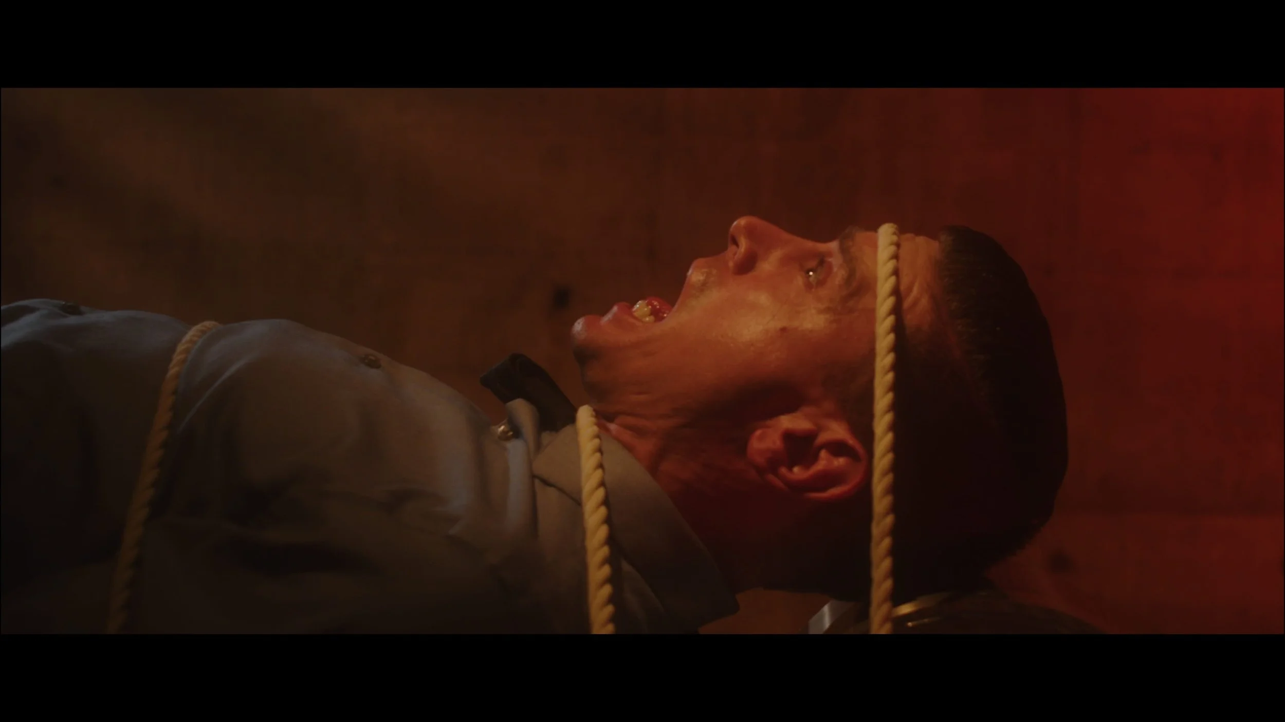 Still 2026-02-03 165445_1.1.32.jpg