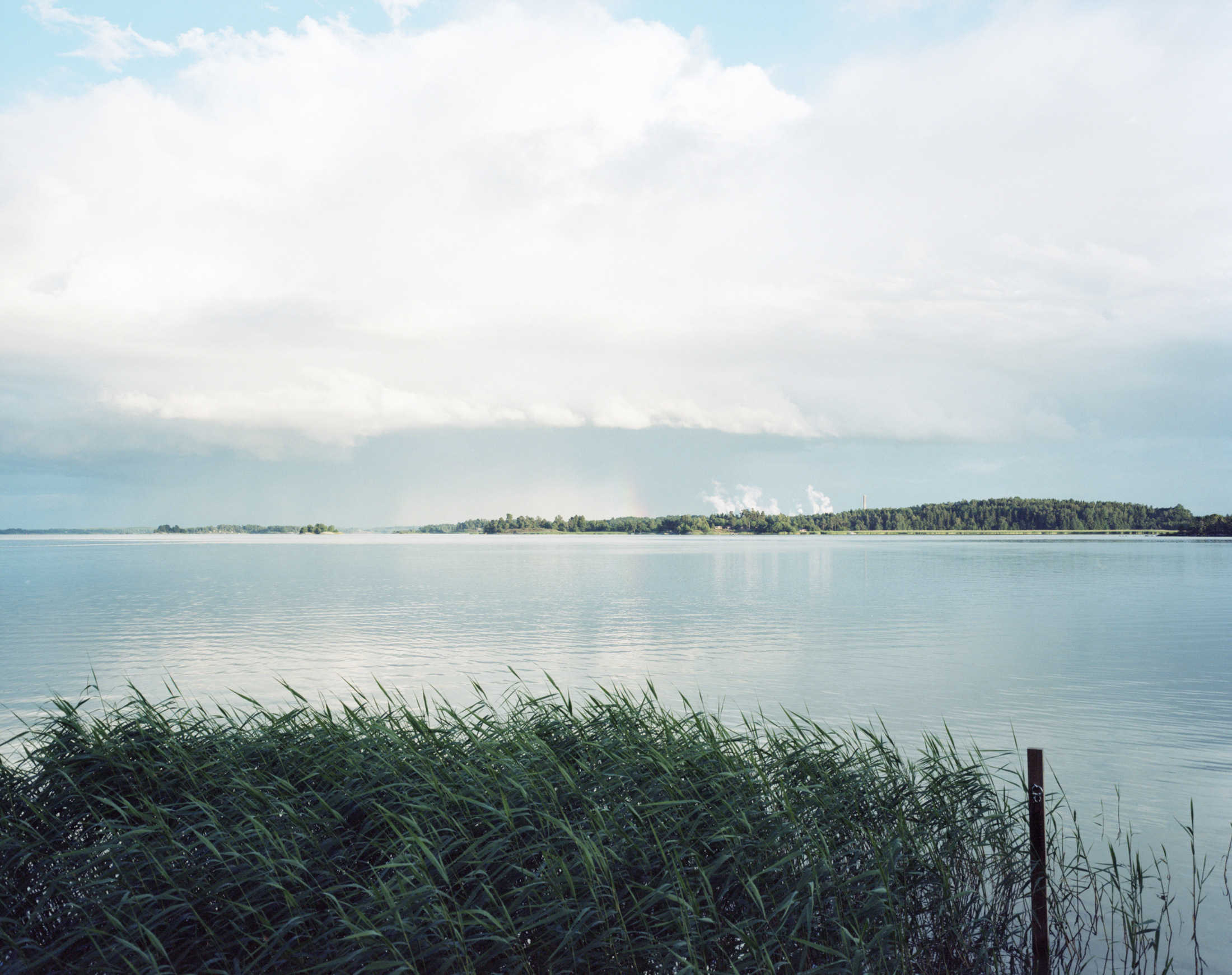 HF_summer008.jpg