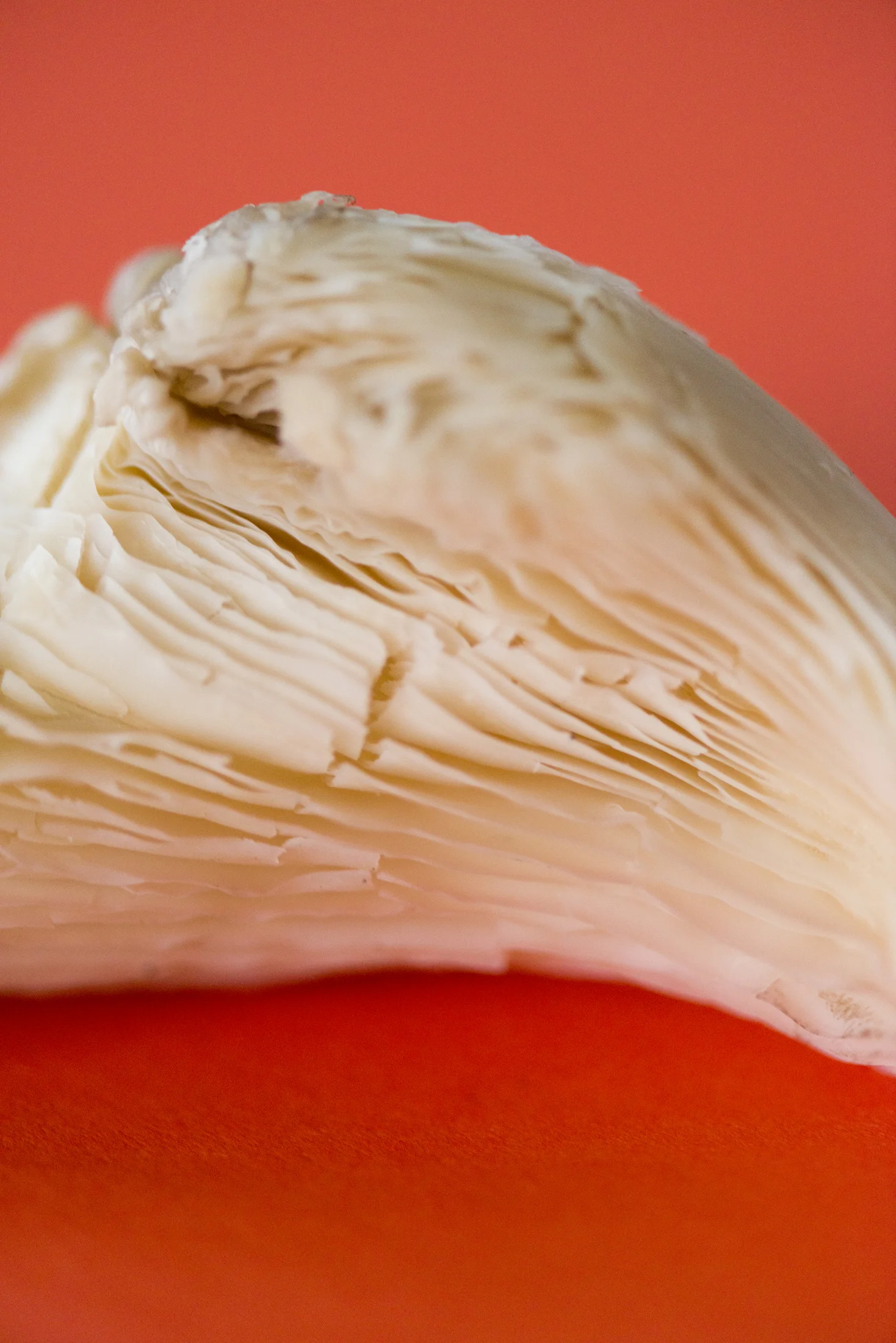 HF_food01.jpg