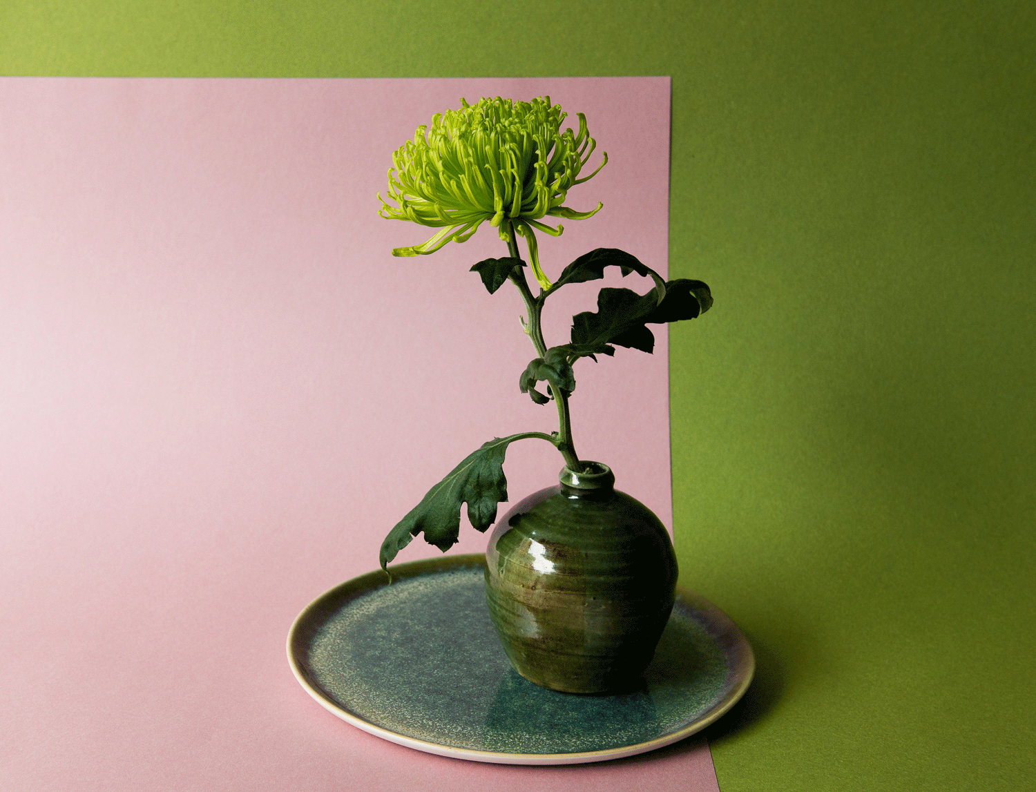 green.gif