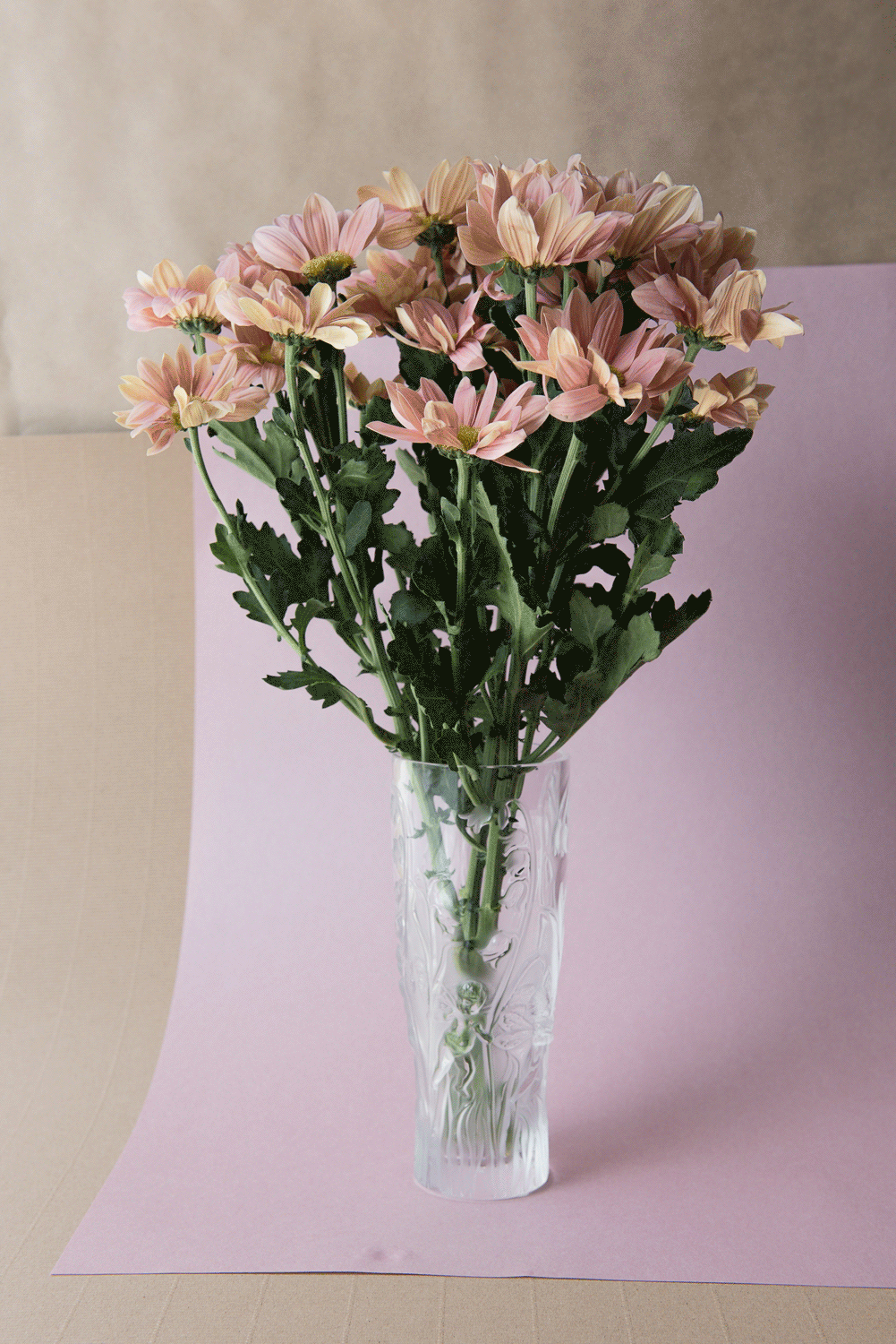PS:magasin - web
