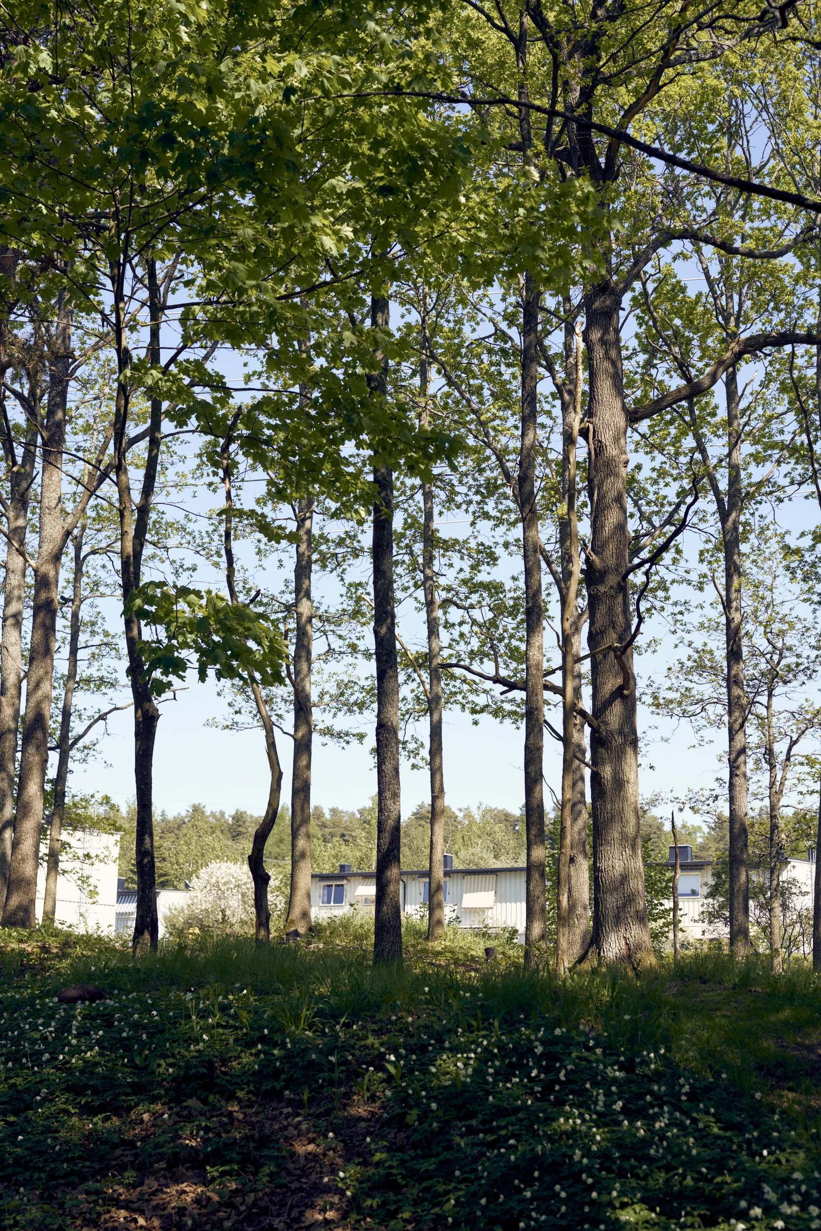 _DS18929 1.jpg