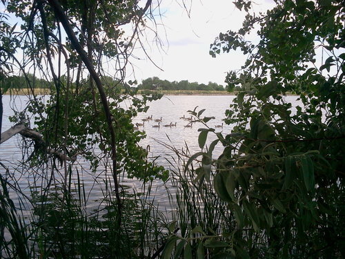 2011-07-04+17.26.51.jpg