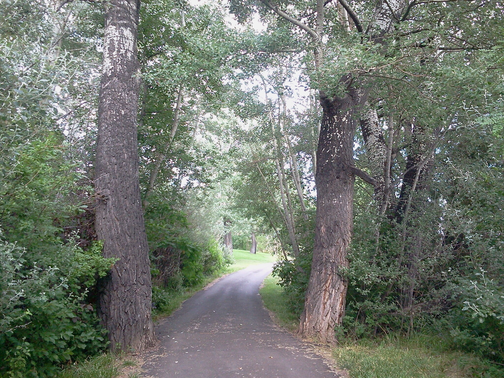2011-07-04+17.30.50.jpg