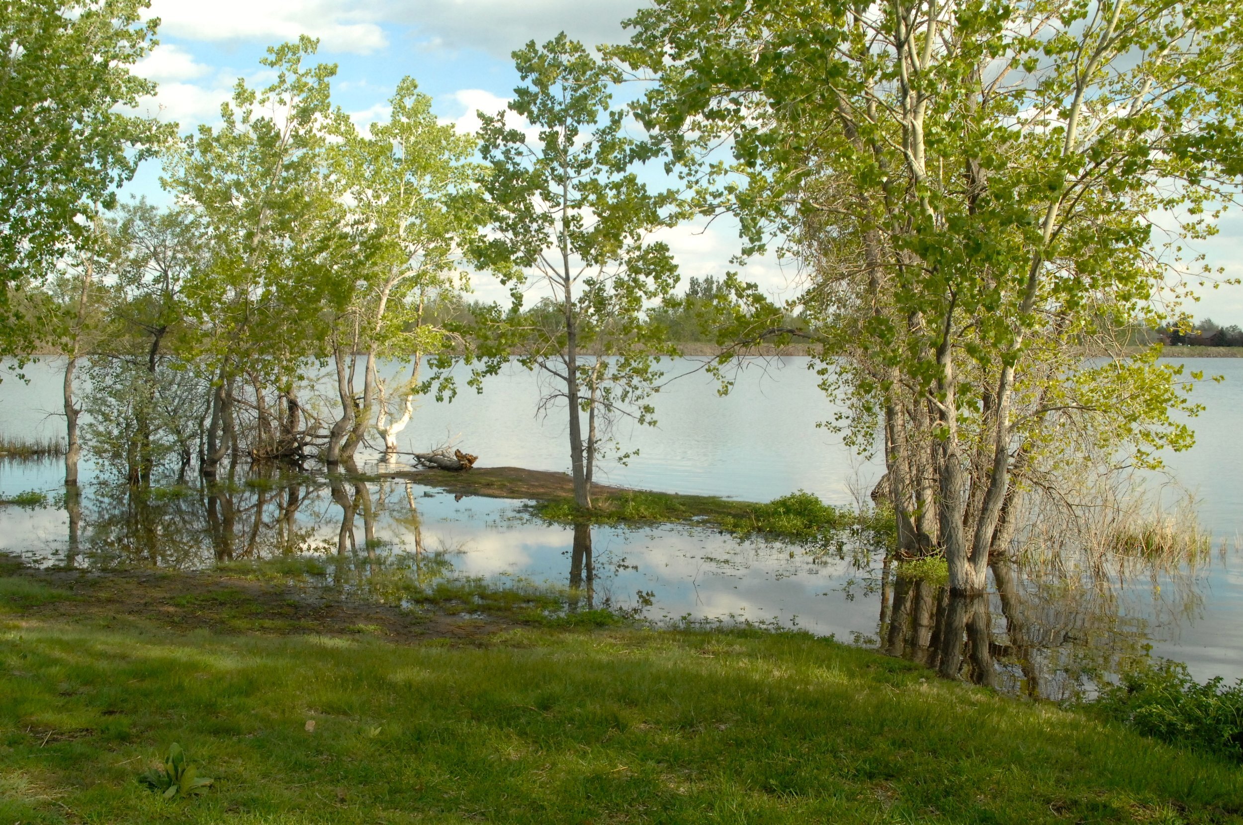 DeannaImageDSC_0013.jpg