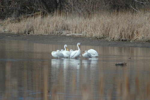 DSC_0009.jpg