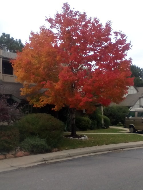 IMG_20141010_105958.jpg