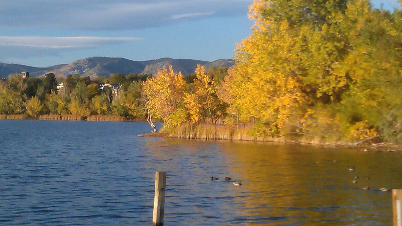 lake_fall.png