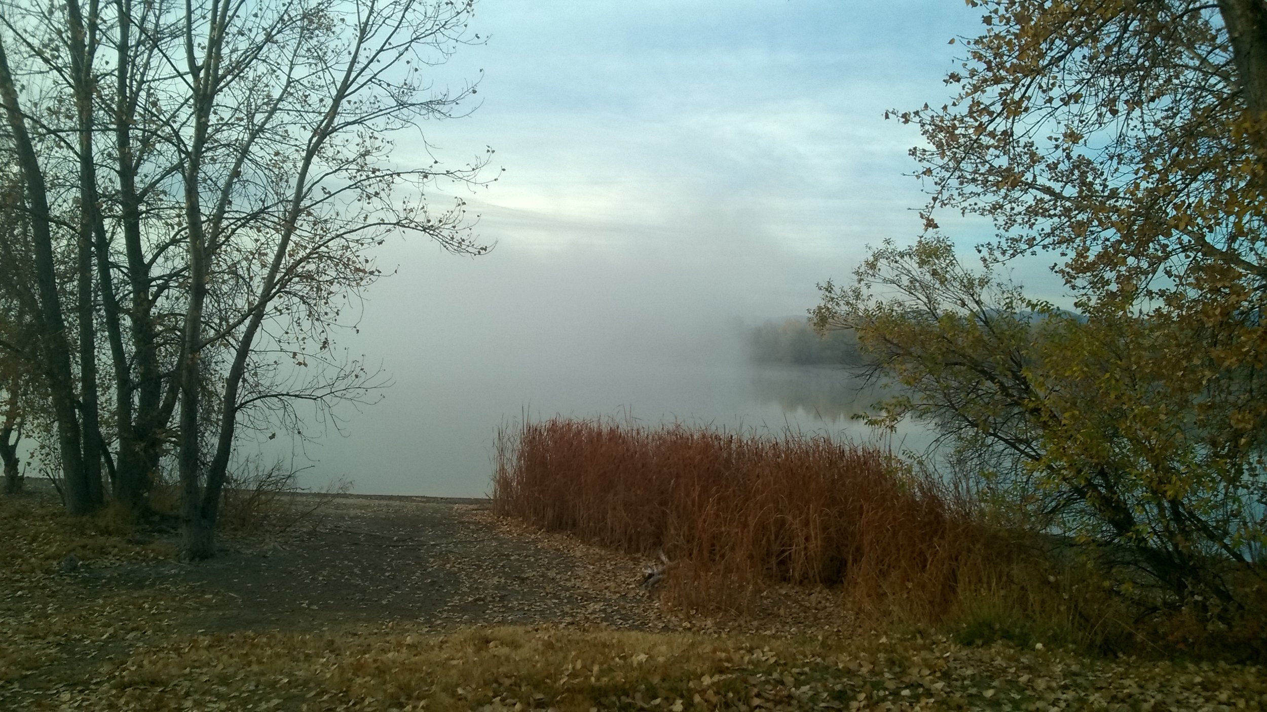 WP_20161030_07_44_59_Pro.jpg