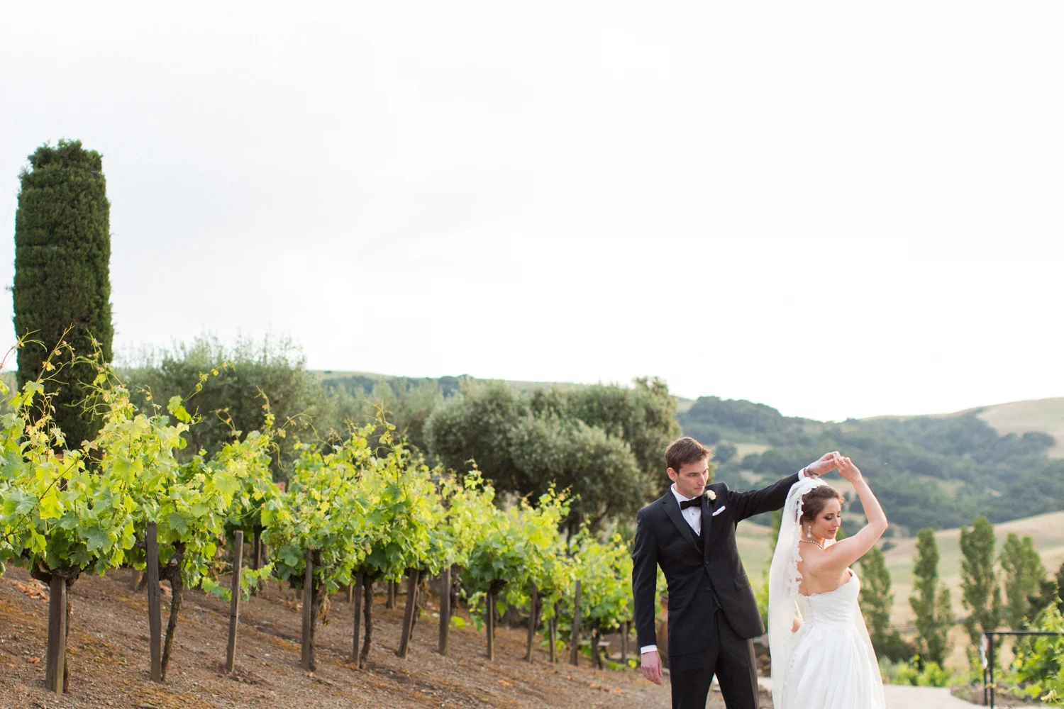 VIANSA SONOMA WEDDING | SKYE + ILYA