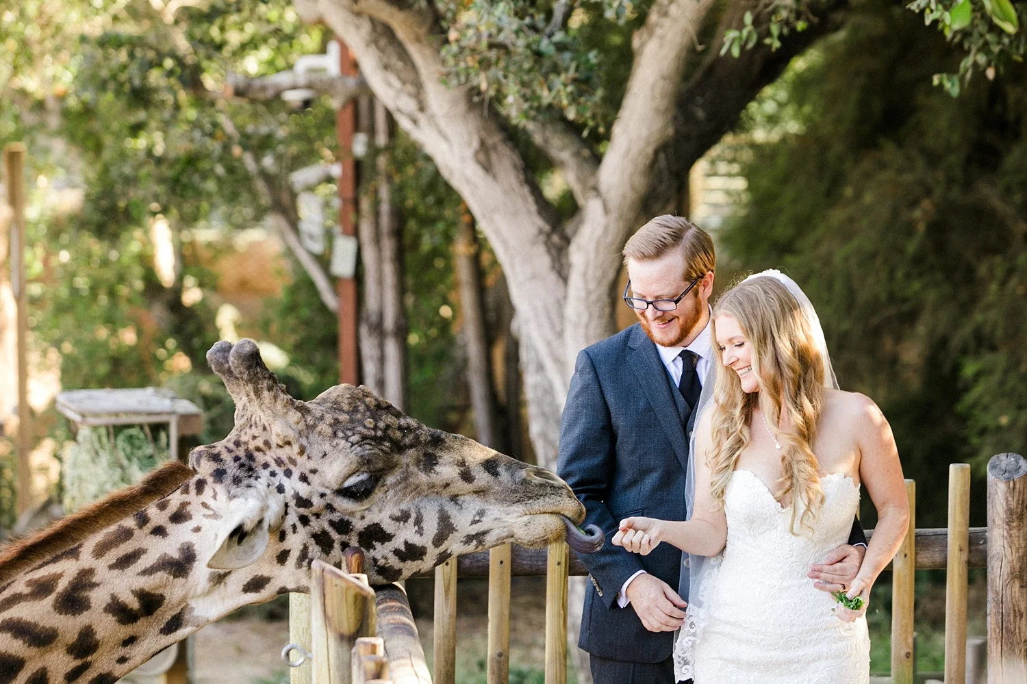 SANTA BARBARA ZOO WEDDING  | CRYSTAL + GARRETT