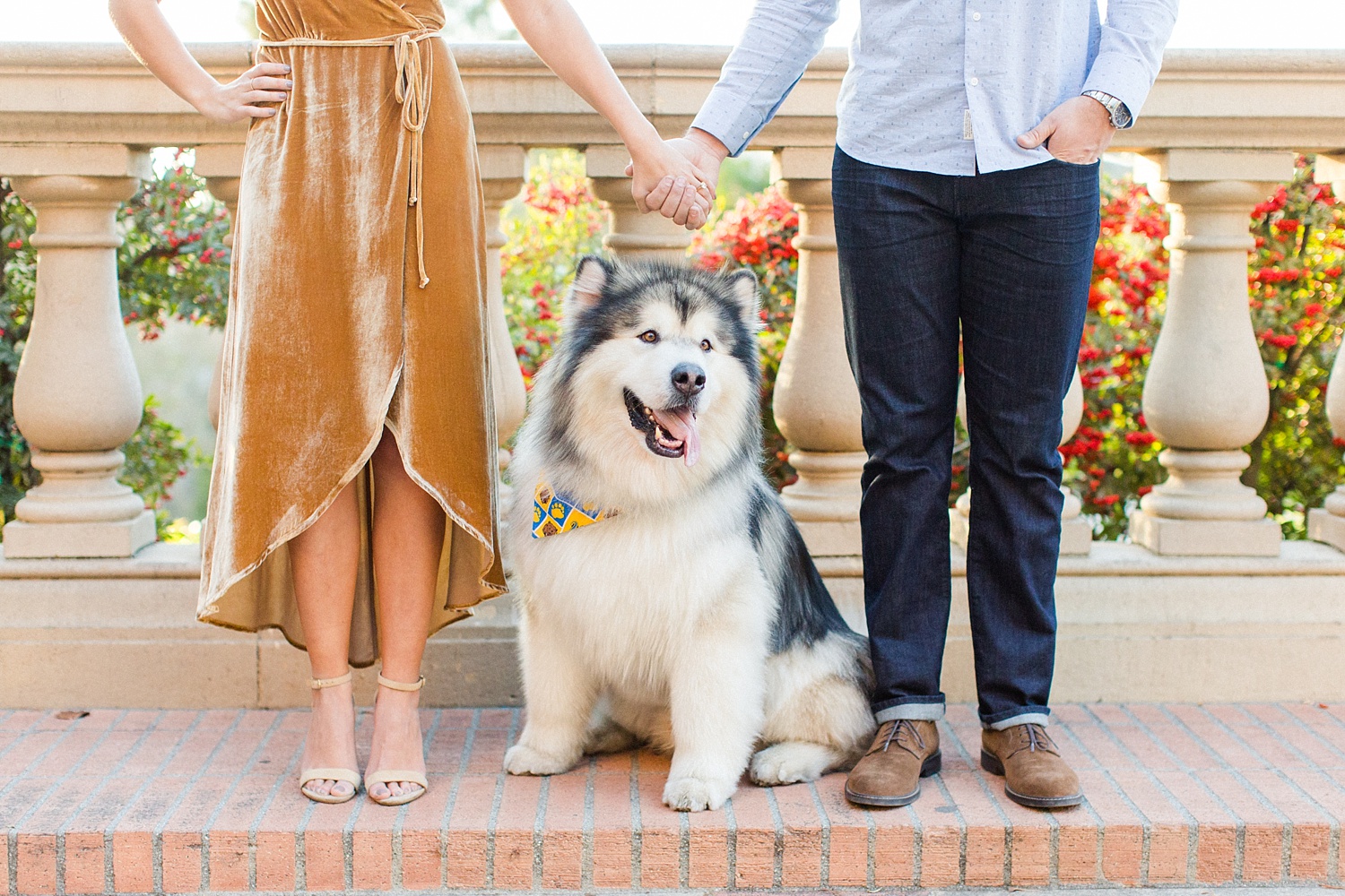 thevondys.com | UCLA | Los Angeles Engagement Photographer | The Vondys