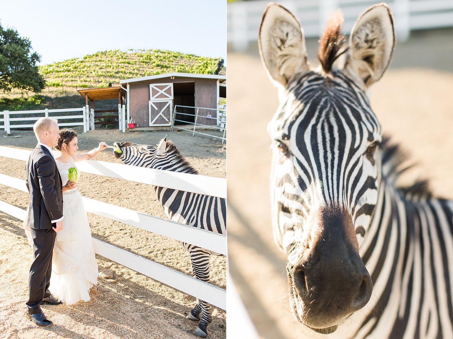thevondys.com | Saddlerock Ranch | Malibu Wedding Photographer | The Vondys