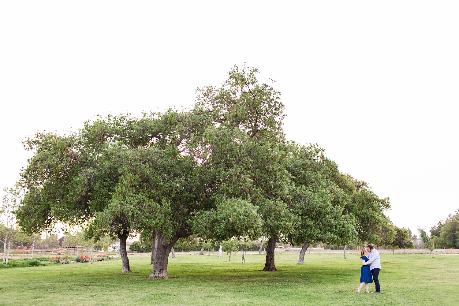 thevondys.com | Griffith Park | Los Angeles Wedding Photographer | The Vondys