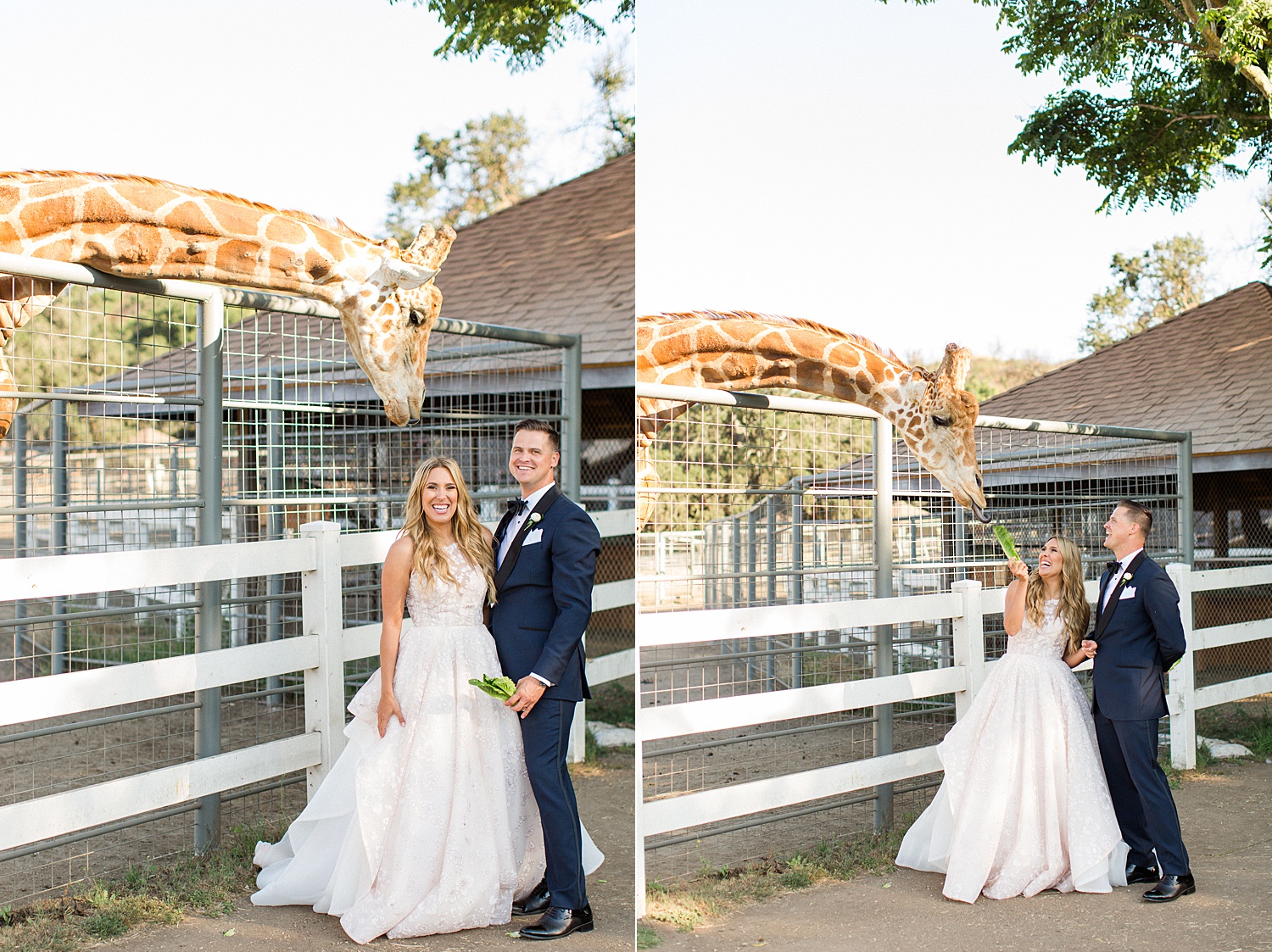 Saddlerock Ranch | Malibu Wedding Photographer | The Vondys