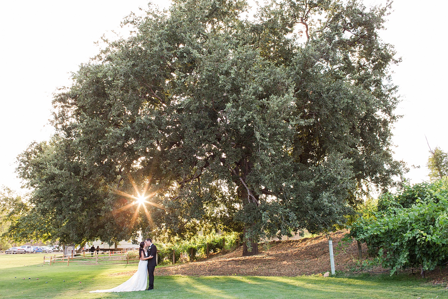 malibu-wedding-photographer_0169.jpg