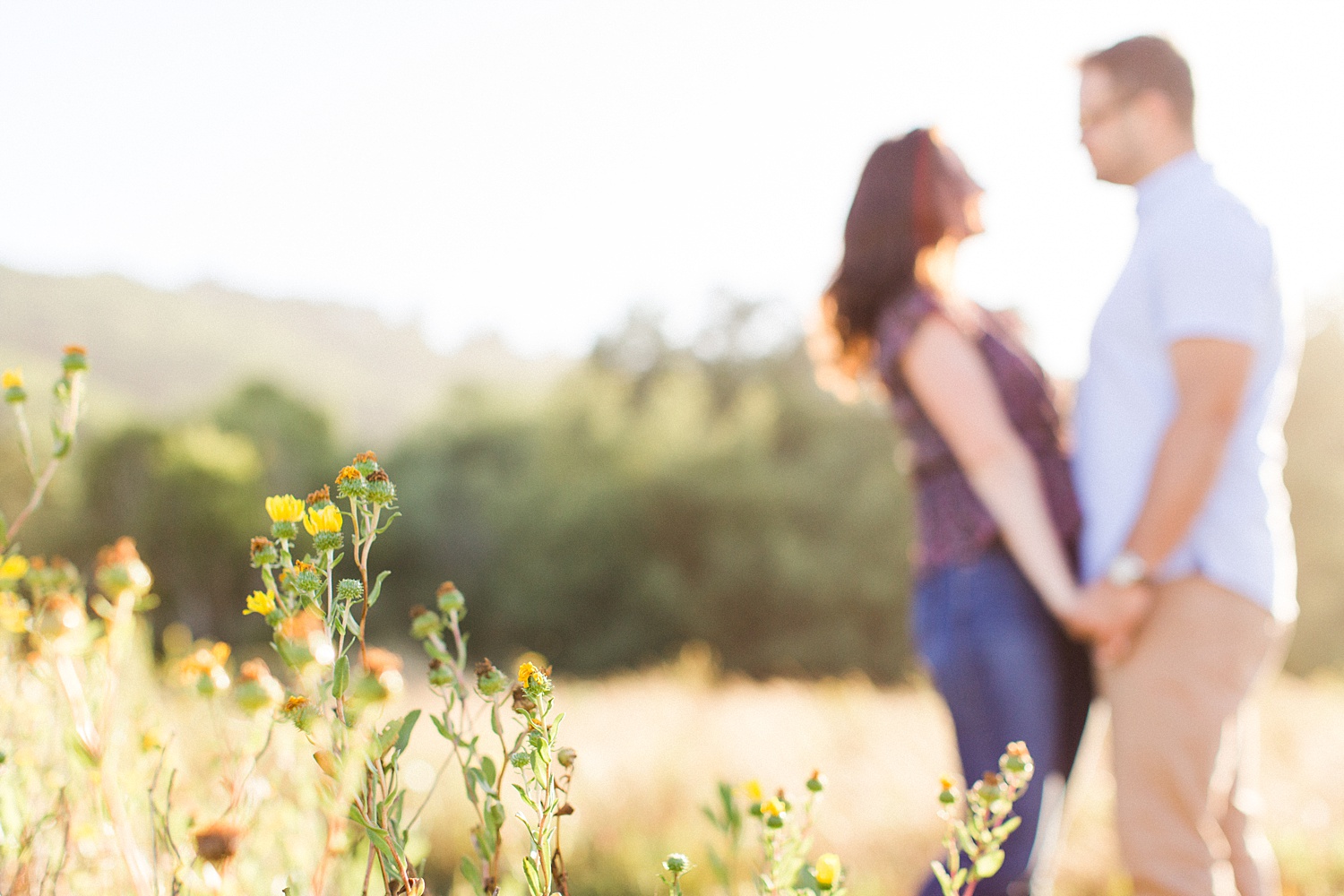 Point Reyes | Cypress Tree Tunnel | San Francisco Wedding Photographer | The Vondys