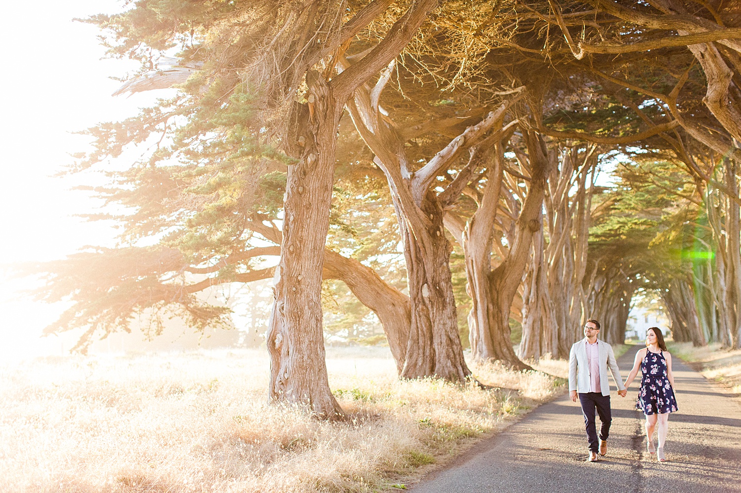 Point Reyes | Cypress Tree Tunnel | San Francisco Wedding Photographer | The Vondys