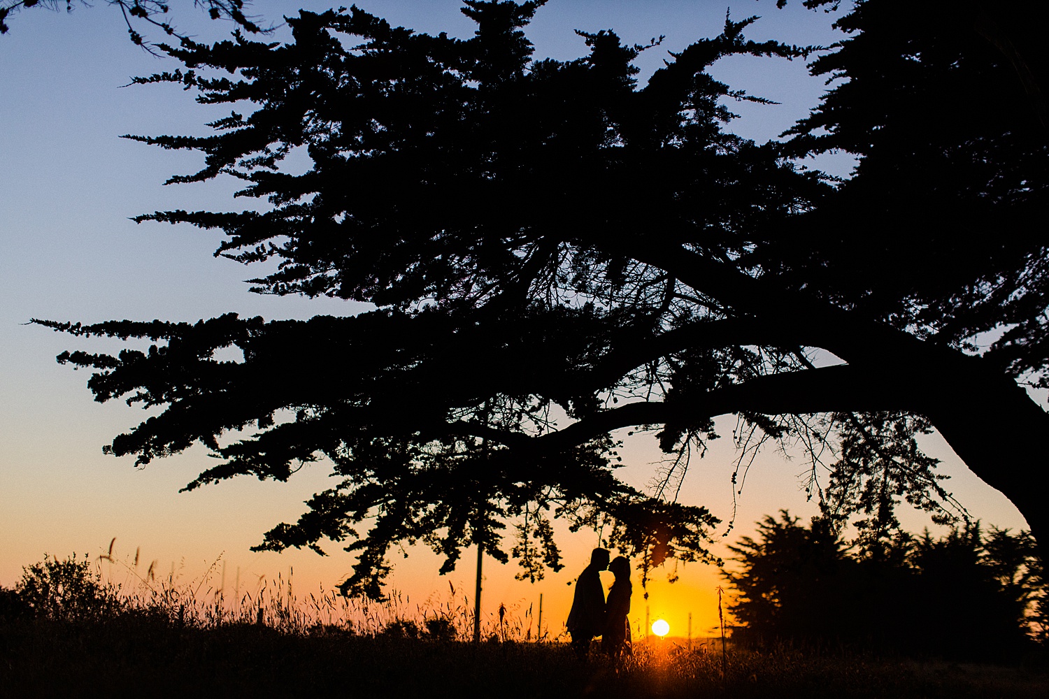 Point Reyes | Cypress Tree Tunnel | San Francisco Wedding Photographer | The Vondys