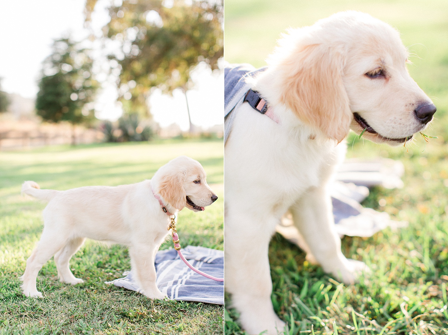 los-angeles-family-photographer_0114.jpg