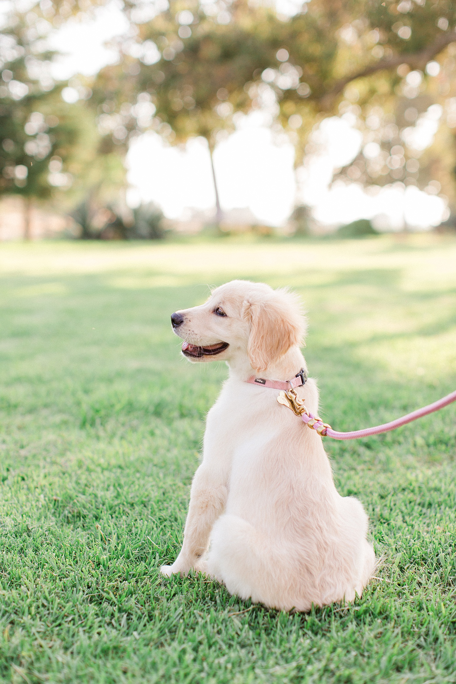 los-angeles-family-photographer_0115.jpg