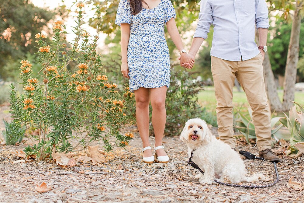 Los Angeles Wedding Photographer | Dog Engagement Photography |  thevondys.com
