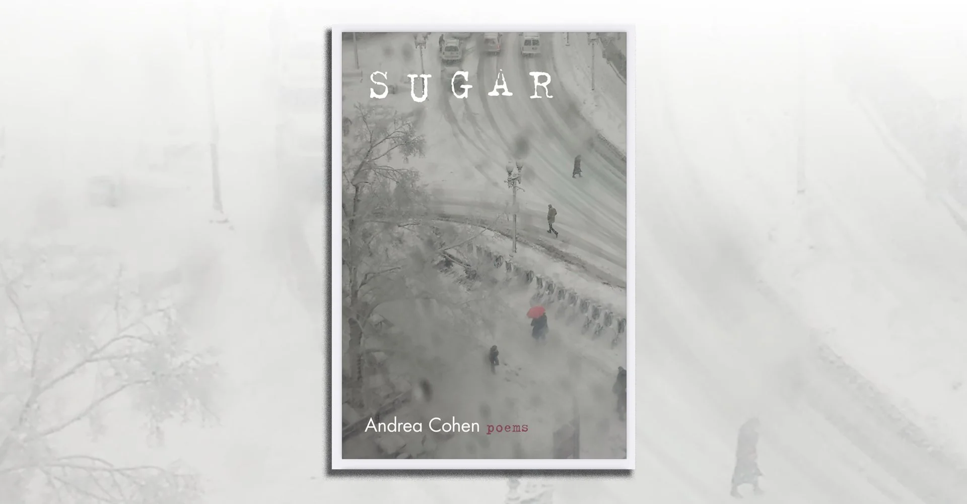 Andrea-Cohen-Sugar-1.jpg