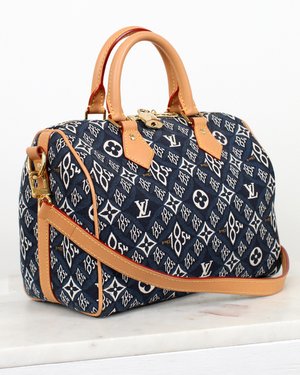 Louis Vuitton Speedy Bandouliere Bag Limited Edition Since 1854 Monogram  Jacquard 25 Auction