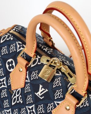 Louis Vuitton Since 1854 Speedy Bandoulière 25 Handbag Jacquard Since –  EliteLaza