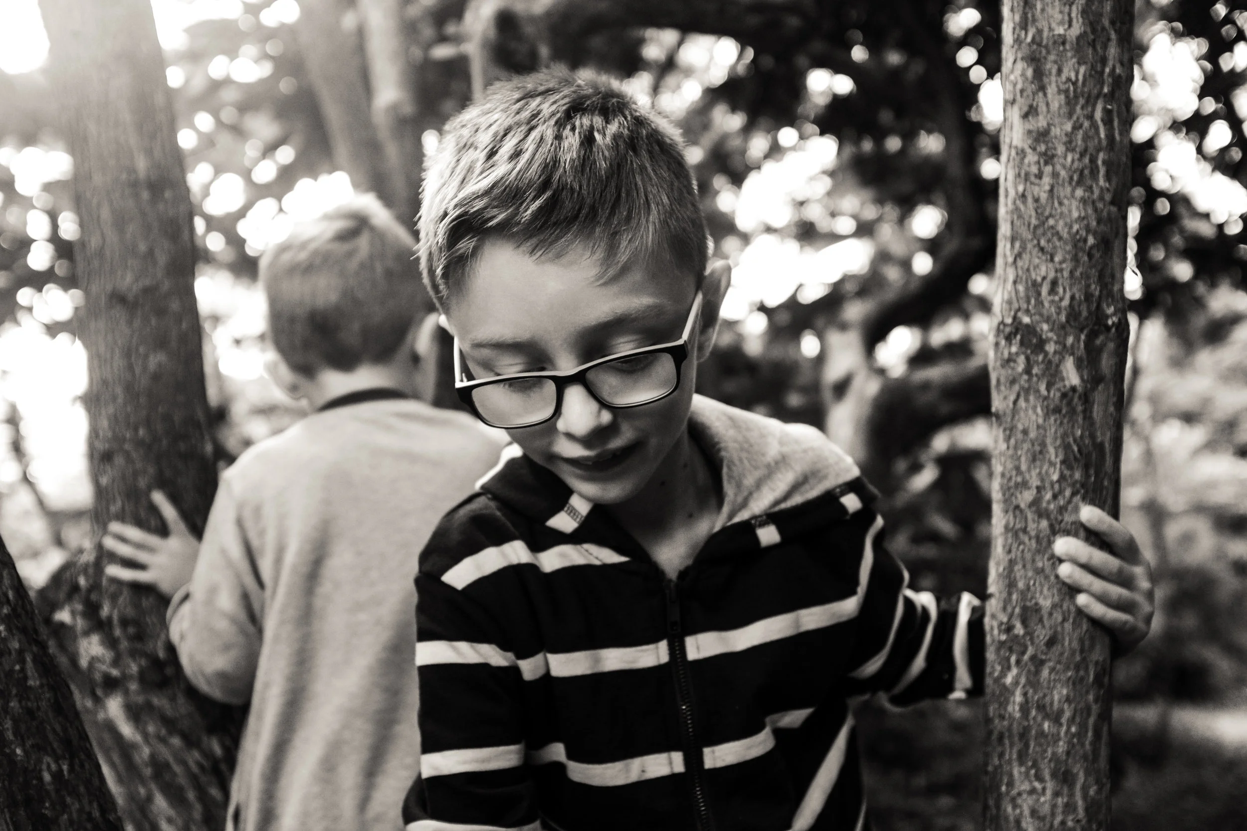 Noah and Henry exploring the woods and climbing trees in Devon.