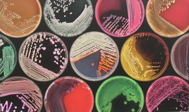 The Importance of Air Quality Testing in a Laboratory