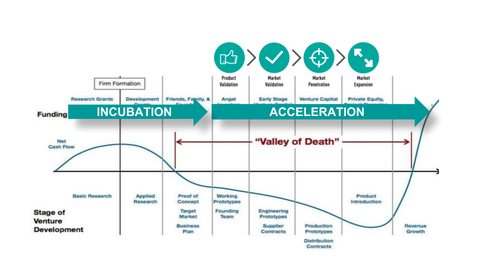Startup Development Phases