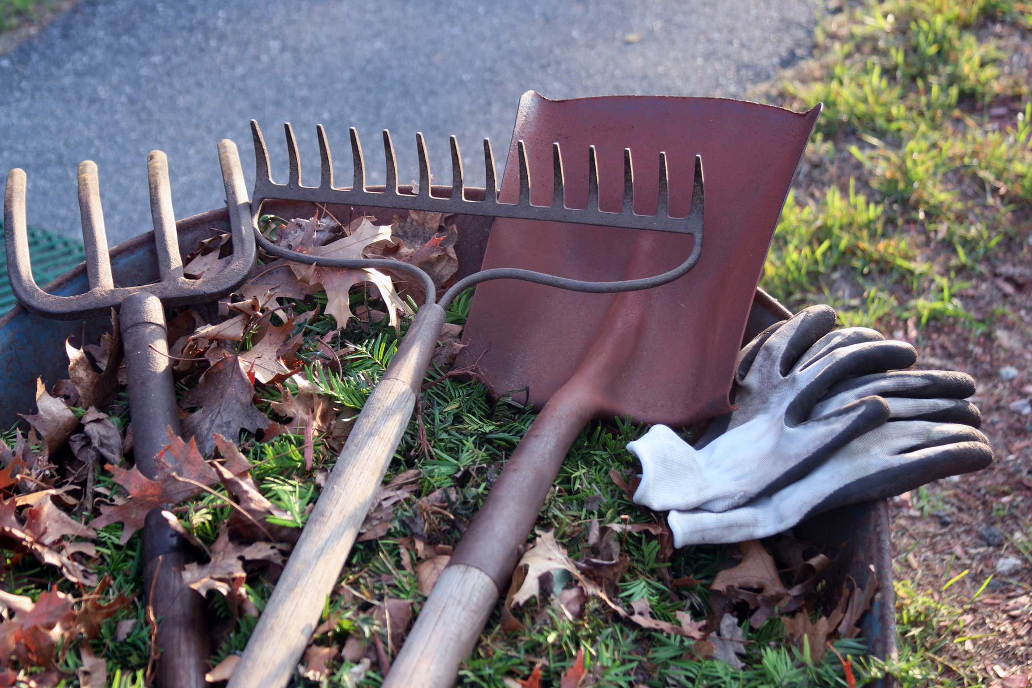 Landscaping-tools-with-room-for-copy-502377899_2125x1416.jpeg