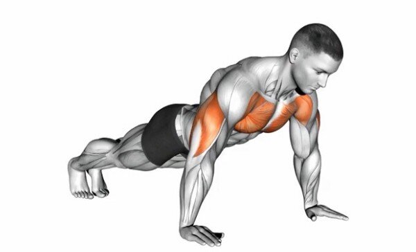 Benefits of Push Ups Everyday: What Happens to Your Body If You Perform Push-ups  Everyday
