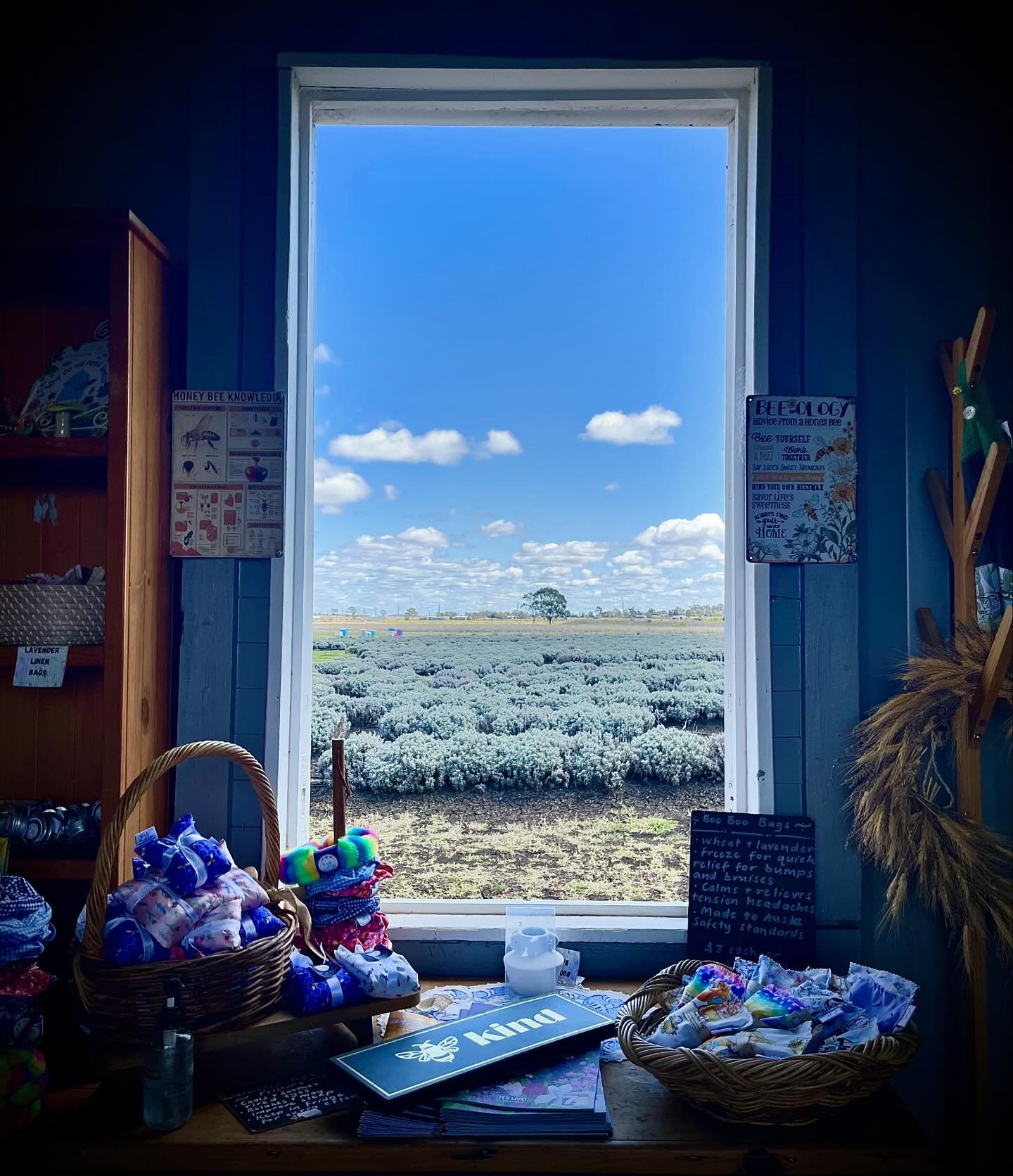 What a fantastic morning we had @windyacresfarm_ learning all about how to look after Bees! 🐝 

The course was amazing, and Alicia was so welcoming to us all! 

I&rsquo;m a little scared about getting some Bees into our hive, but now at least I feel