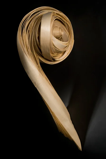Volute, 2014