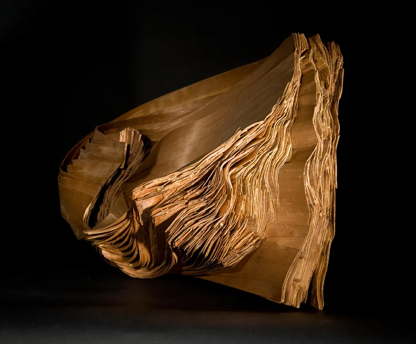 Whorl, 2014