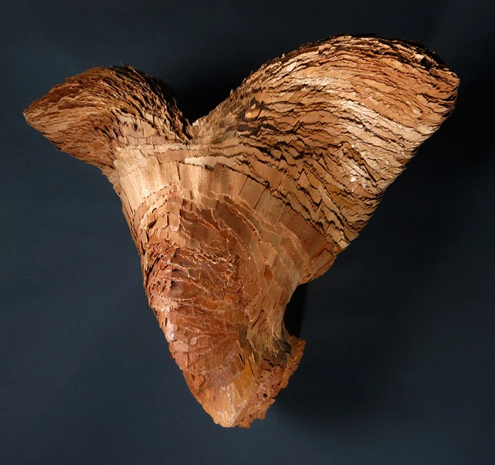Coma, 2006