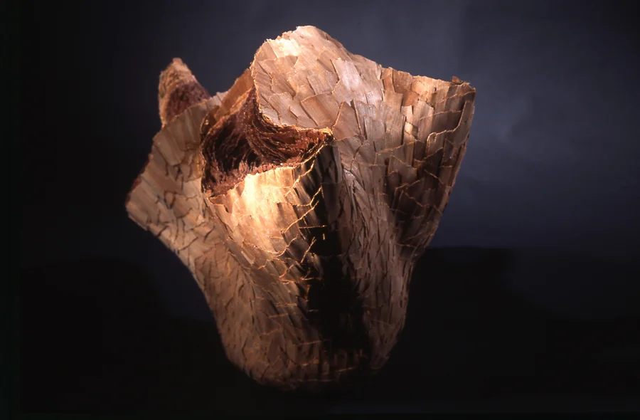 Thrust, 2005