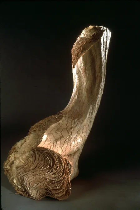 Torso, 2004