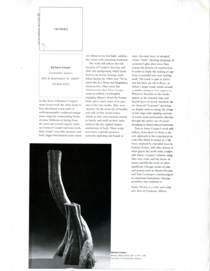New Art Examiner, April 2001, Diane Thodos
