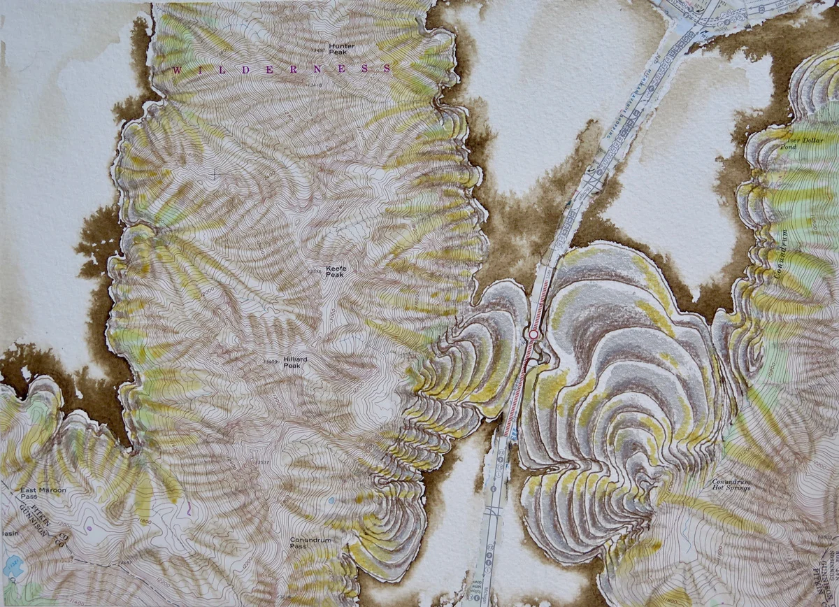 Landscape Revisions 2, 2017