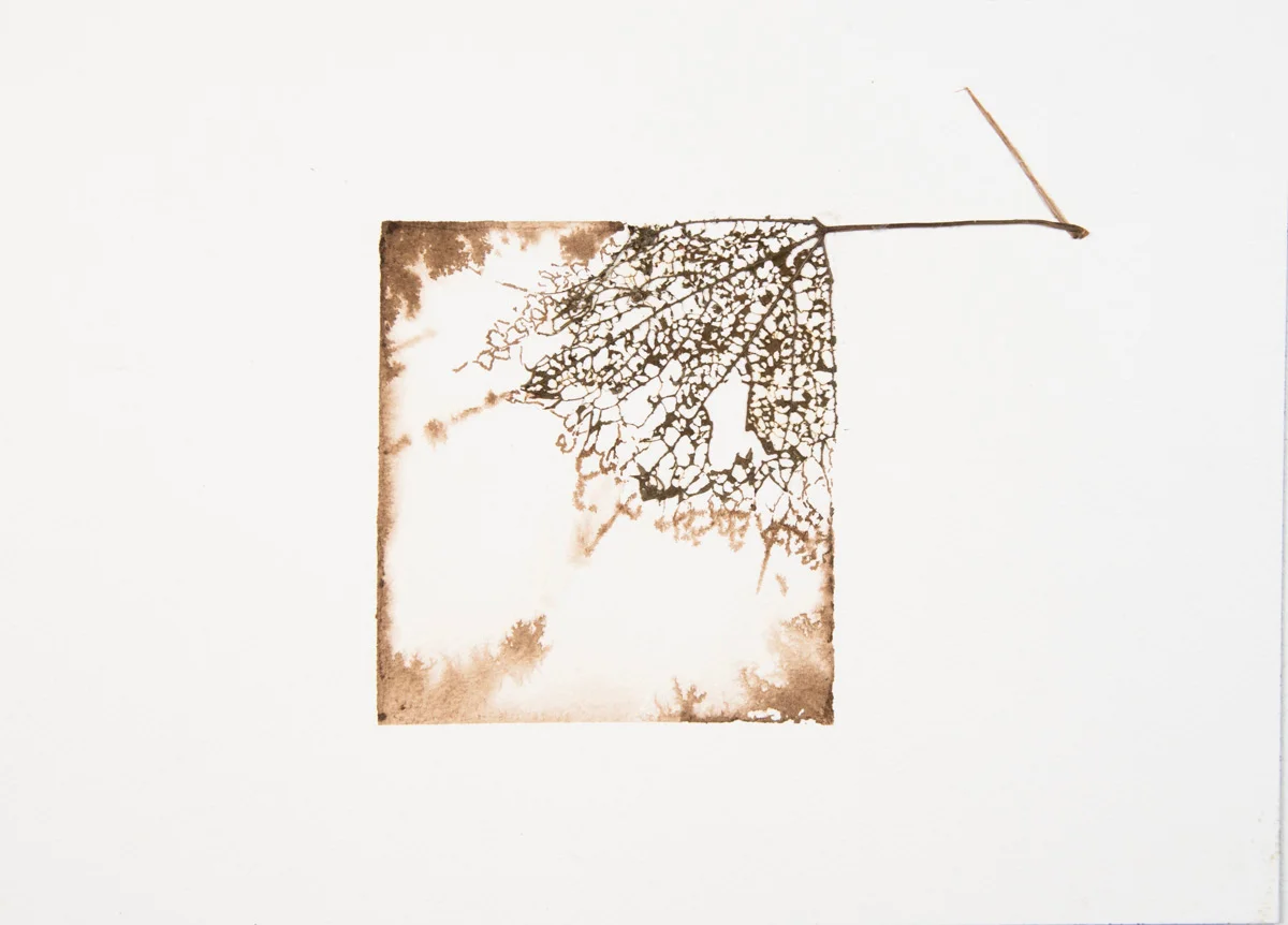 Leavings 8, 2017