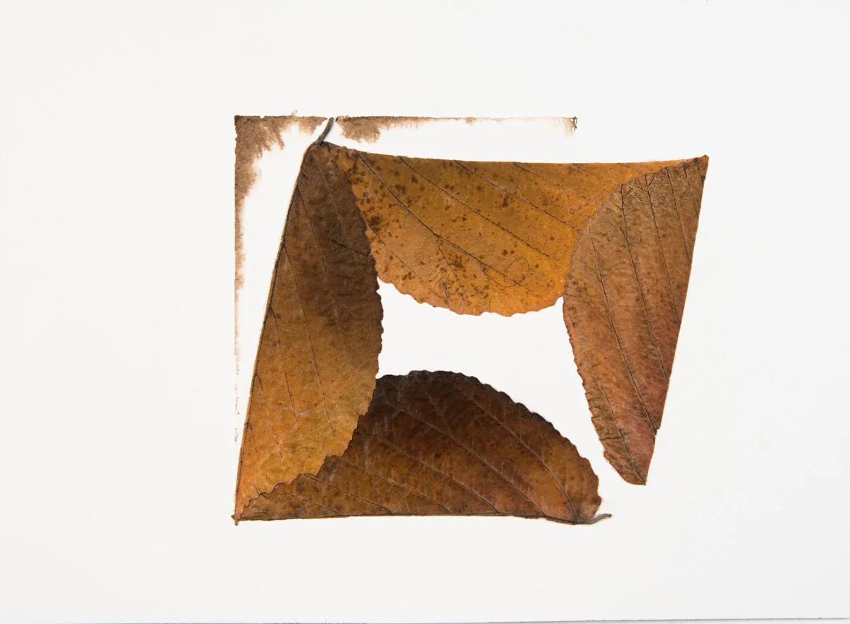Leavings 9, 2017